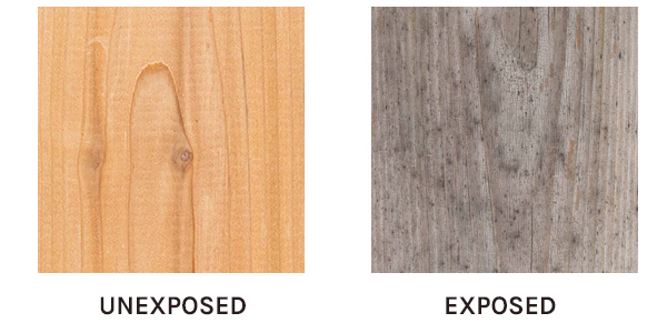 Cedar Wood Exposure Test